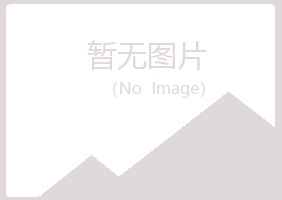 广昌县冰蓝咨询有限公司